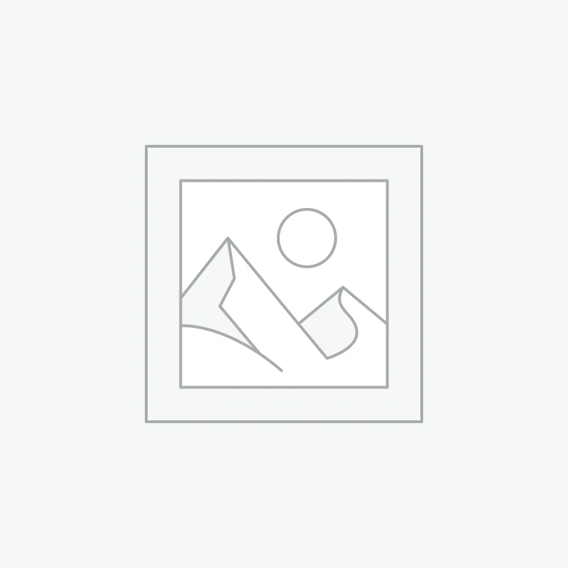 Jouet pour chat NewSpeedy Tail 2.0, jouet pour chat à queue rapide, jouet interactif pour chat, balle de jouets pour chat intelligente, réglage à deux vitesses, avec queue