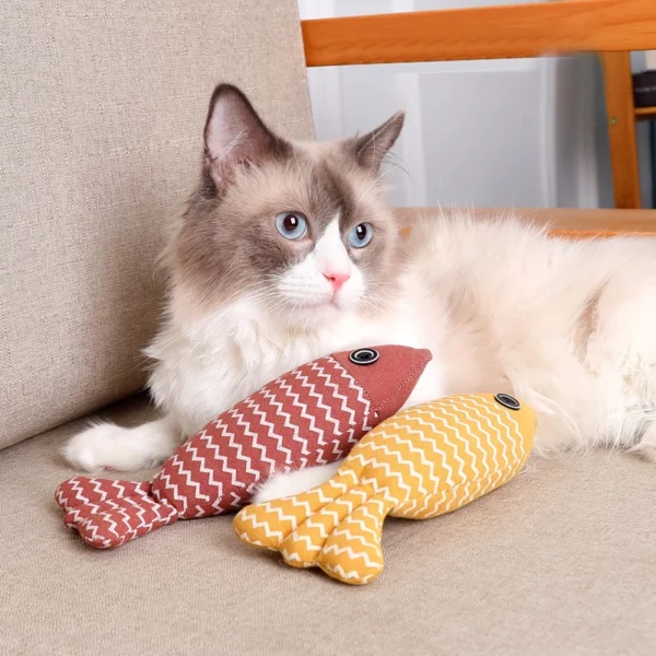 Jouets pour chat poisson herbe-aux-chats jouets interactifs pour chat jouet à mâcher chat oreiller jouets chaton exercice Kicker jouets pour chats d'intérieur Kitty Kit – Image 4