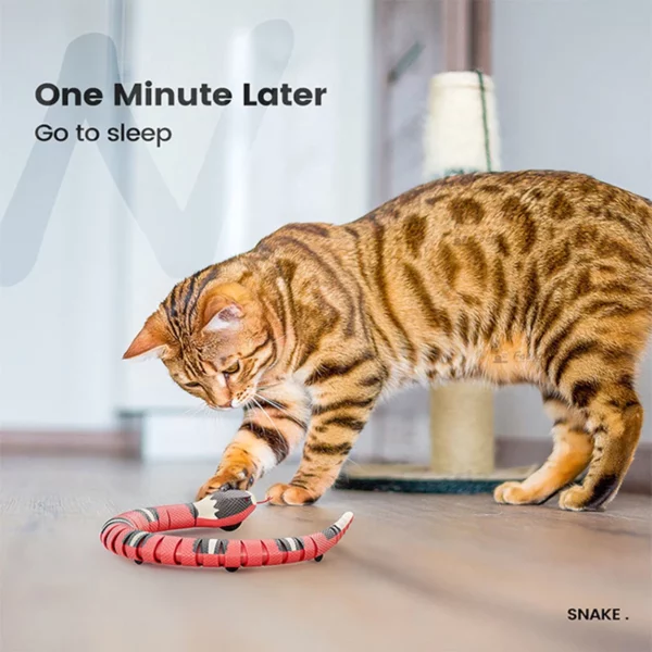 Jouets automatiques pour chats, jouets interactifs à détection intelligente, serpent, chargement USB, accessoires pour chats, jeu pour animaux de compagnie – Image 6
