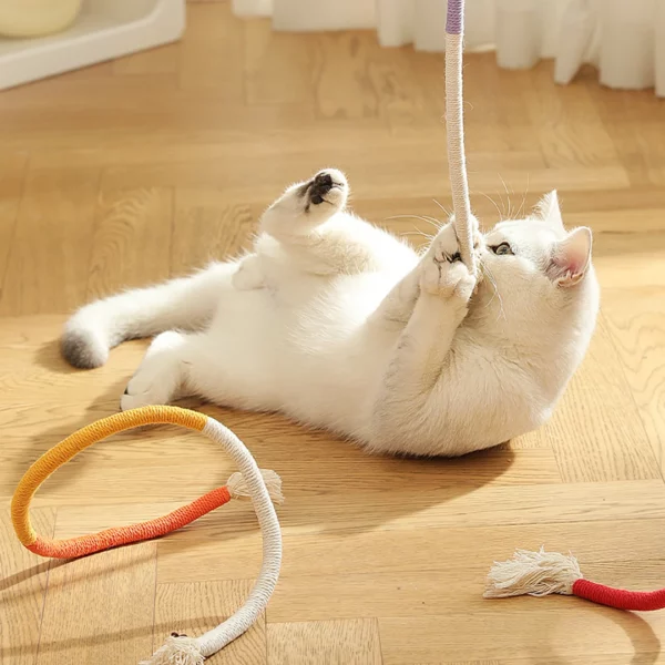 TJavier-Corde à mordre pour chat, jouet en coton résistant aux morsures, dents de meulage, durable – Image 6