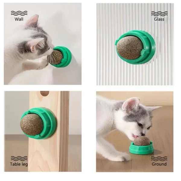 Jouet à Gratter Mural en Herbe à Chat, Balle à Coller, Friandises Saines et Naturelles, Élimine l'ikto, Favorise la Digestion, Collation – Image 2