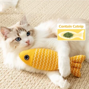 Jouets pour chat poisson herbe-aux-chats jouets interactifs pour chat jouet à mâcher chat oreiller jouets chaton exercice Kicker jouets pour chats d'intérieur Kitty Kit