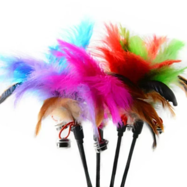 Jouet pour chat, cloche en plumes, tige amusante, jouets interactifs, accessoires pour chat, fournitures pour animaux de compagnie, 2 pièces – Image 4