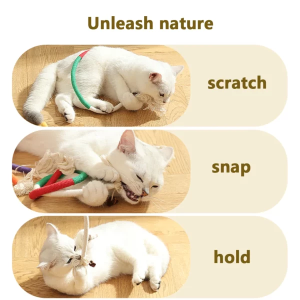 TJavier-Corde à mordre pour chat, jouet en coton résistant aux morsures, dents de meulage, durable – Image 5