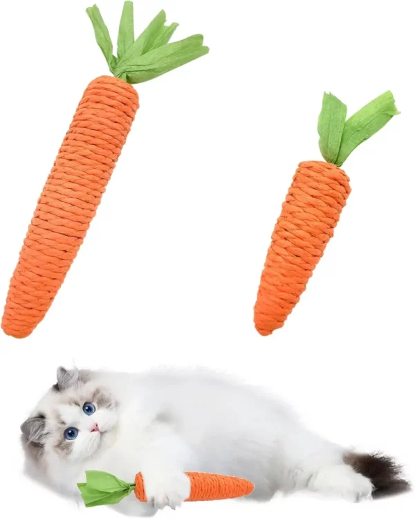 Jouets pour chats, auto-entretien, dents de carottes et bâtons de taquinerie pour chat, dents et griffes résistantes aux morsures et aux rayures